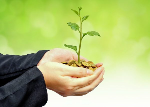 A Green Company